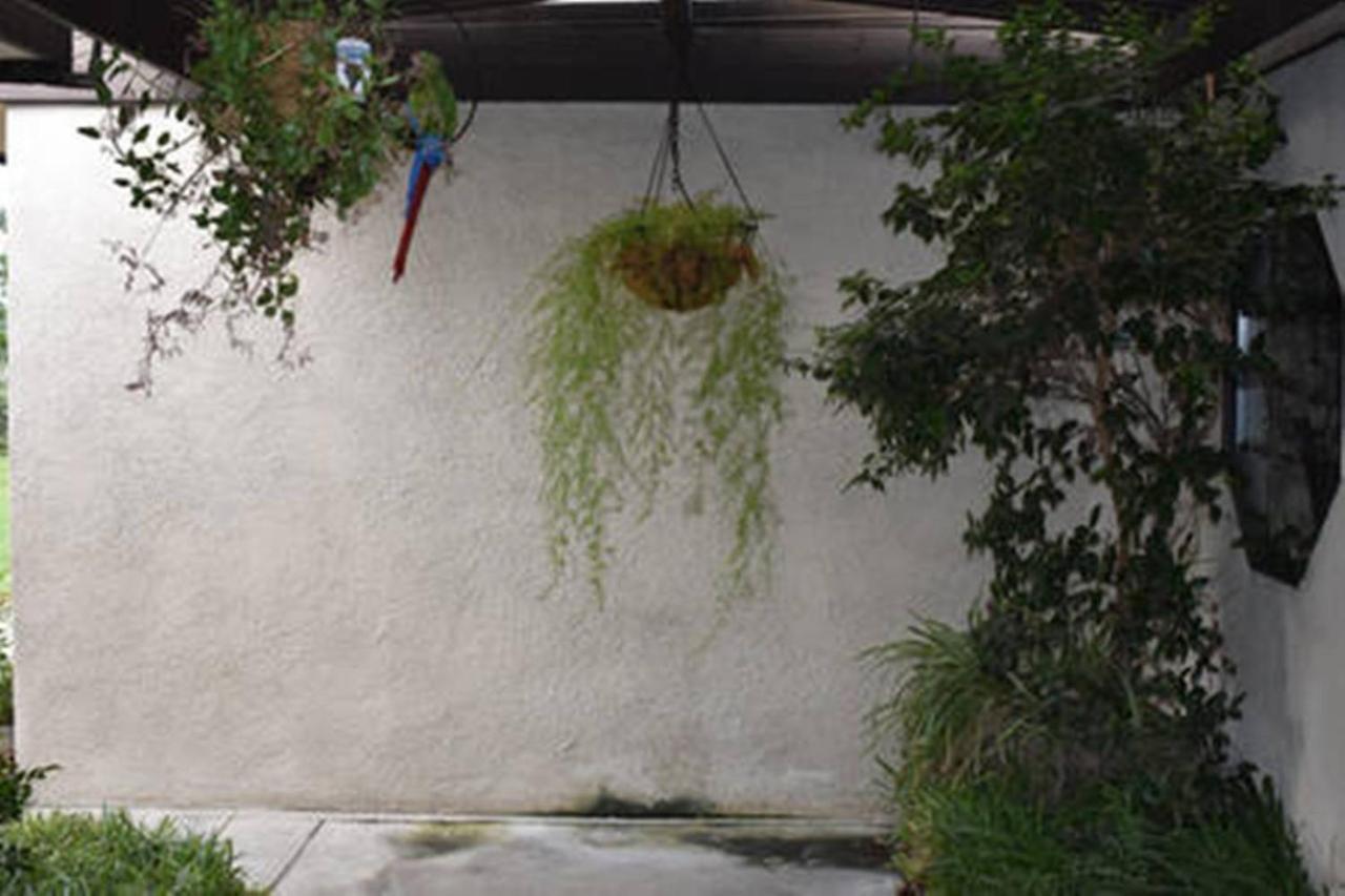 Beautiful House With Fantastic View In Azusa Bagian luar foto